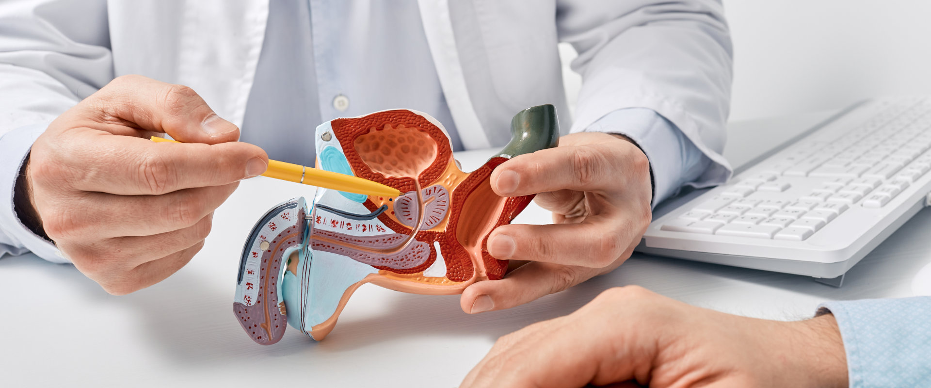 Vorsorge - Männergesundheit