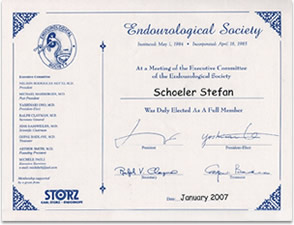 Endourological Society Schoeler